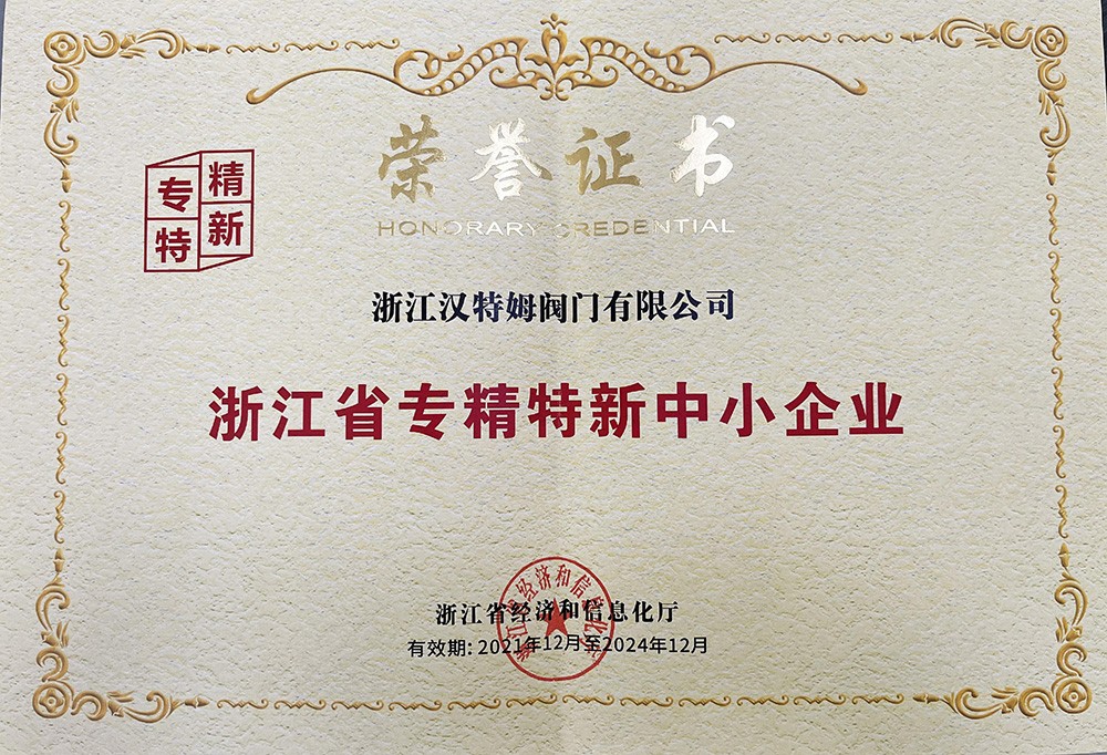 浙江省专精特新中小企业证书
