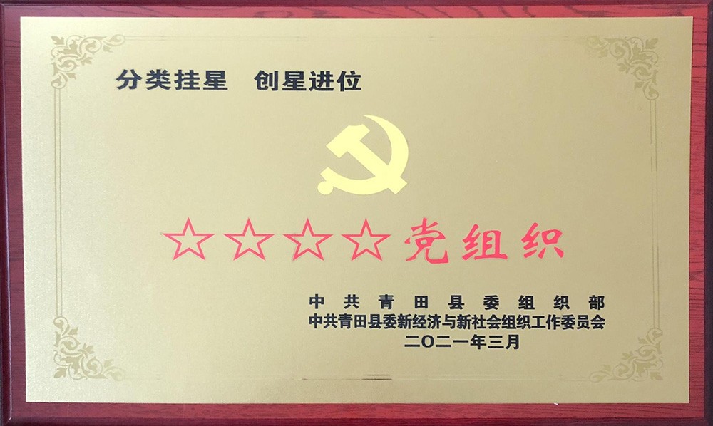 四星级党组织证书